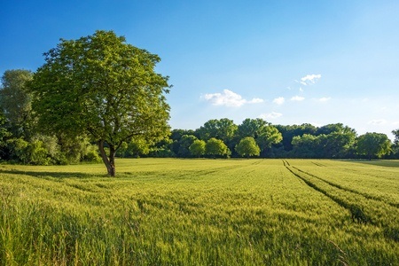 Three Benefits to Purchasing Land | Metcalf Land Company Inc