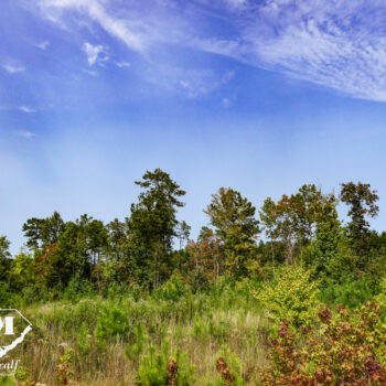 4 +/- Acre Homesite in Union County