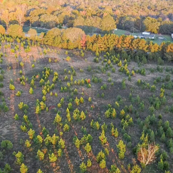 5 +/- Acre Private Mini-Farm Lots